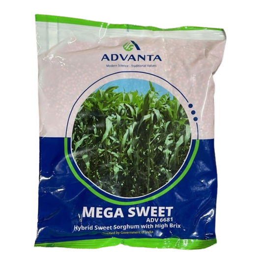 Advanta Mega Sweet Fodder Grass Seeds