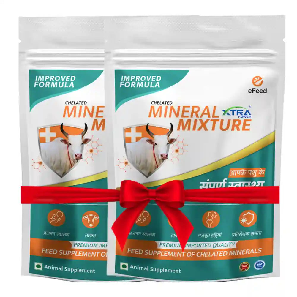 e Feed Mineral Mixture (1+1 Combo)