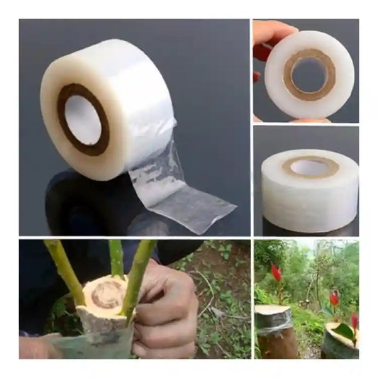 Siddhivinayak Grafting Stretchable Tape