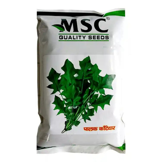 MSC Kantedar Palak Seeds