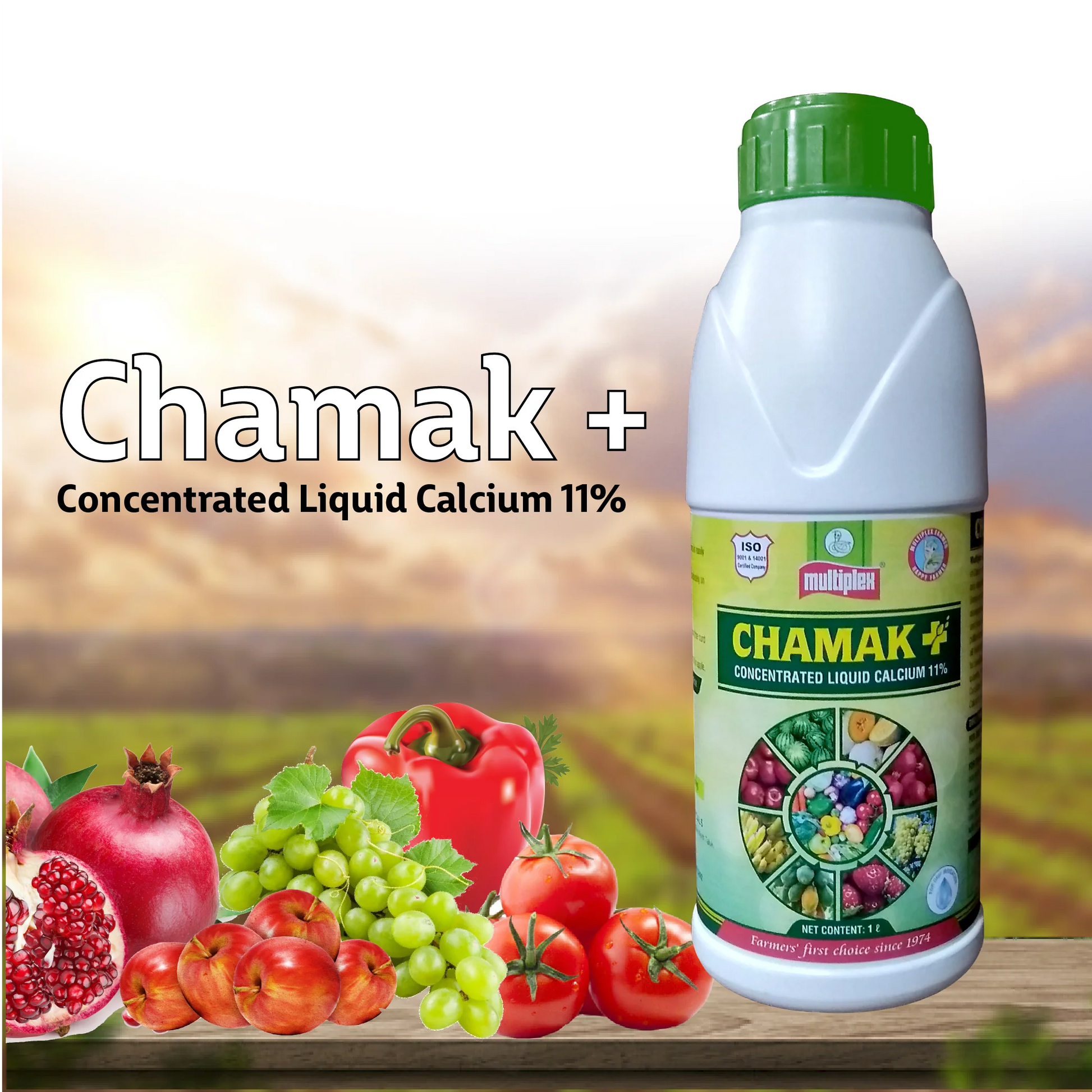 Multiplex Chamak Plus - Liquid Calcium_1_BharatAgri Krushidukan