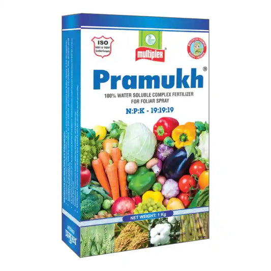 Multiplex Pramukh NPK 19:19:19 Fertilizer