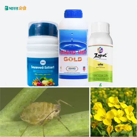सरसों सुरक्षा किट - माहू कीट | Mustard Suraksha Kit - Aphid Pest