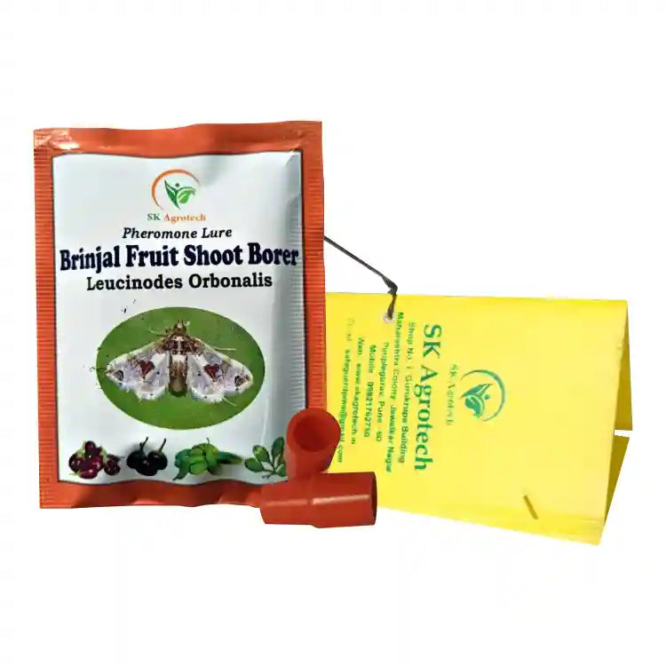 Sk Agrotech Delta Trap with Brinjal Lucin-O-Lure