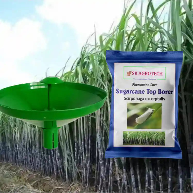 SK Agrotech Funnel Trap With Sugarcane Early Shoot Borer Lure