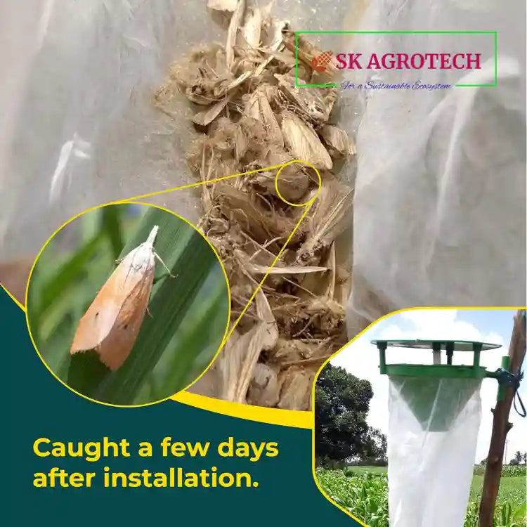 एसके एग्रोटेक फ़नल ट्रैप पीले तना छेदक लूर के साथ | SK Agrotech Funnel Trap With Yellow Stem Borer Lure