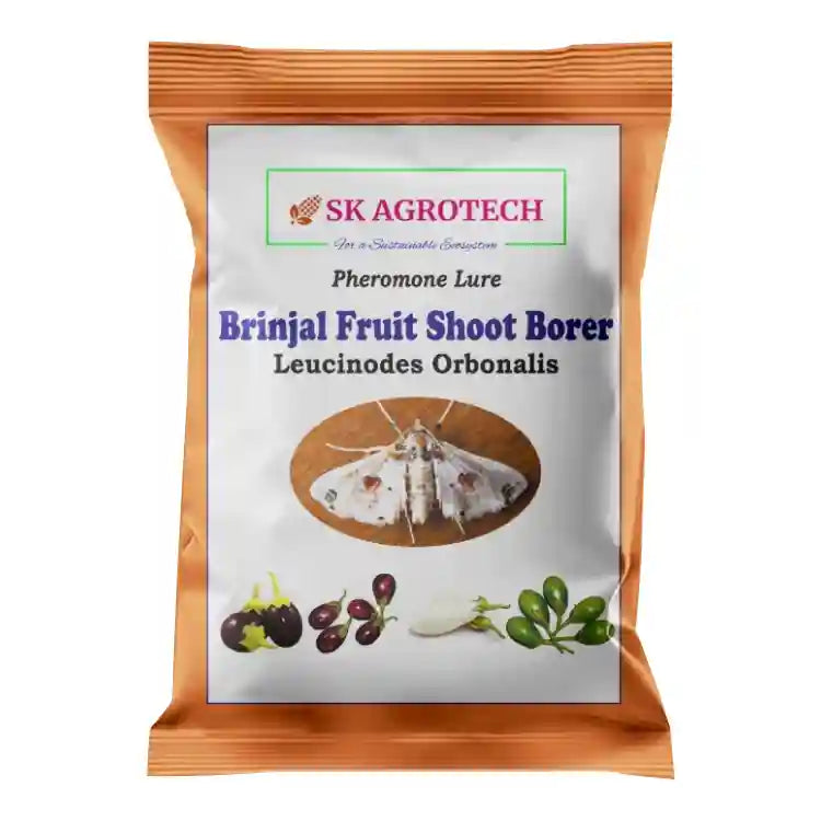 Sk Agrotech Funnel Trap with Brinjal Lucin-O-Lure