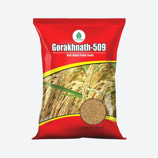 नाथ गोरखनाथ 509 संकरित भात बियाणे