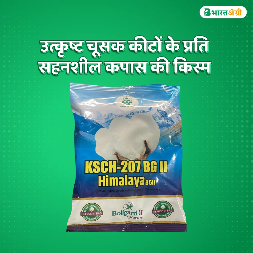 नाथ KSCH 207 हिमालय BG II संकरित कापूस बियाणे