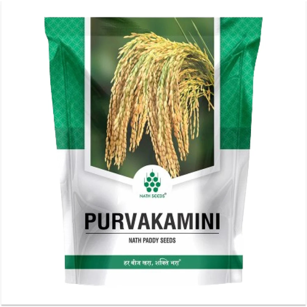 Nath Purvakamini Paddy Seeds