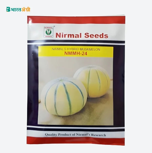 Nirmal NMMH-24 Hybrid Muskmelon Seeds | BharatAgri Krushidukan