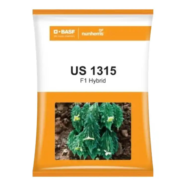 Nunhems US 1315 F1 Hybrid Bitter Gourd Seeds