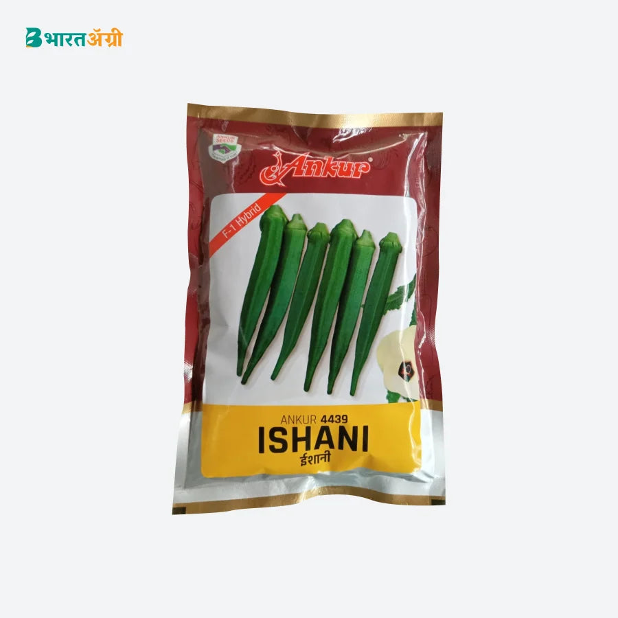 Ankur 4439 Ishani F1 Hybrid Okra Seeds
