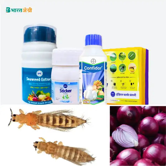 Onion Suraksha Kit - Sucking Pest (10-30 days)