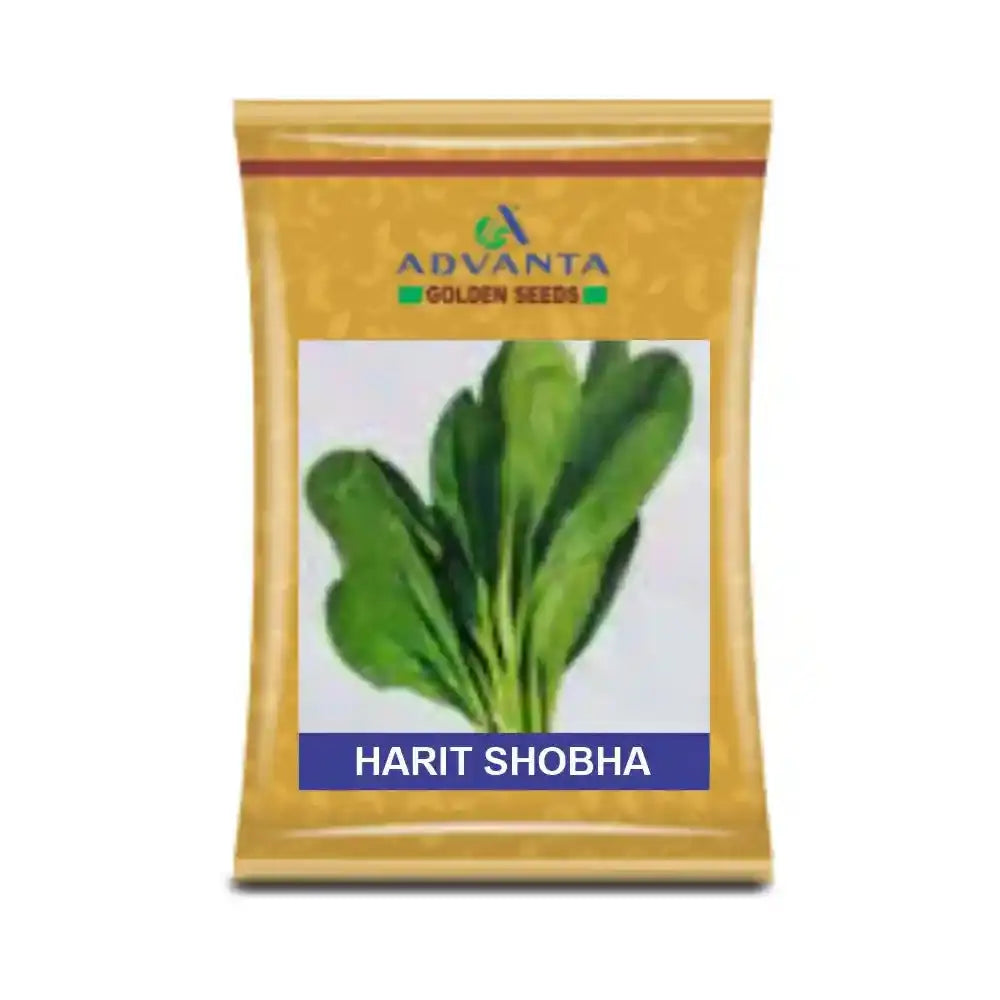 Advanta Harit Sobha Palak Seeds