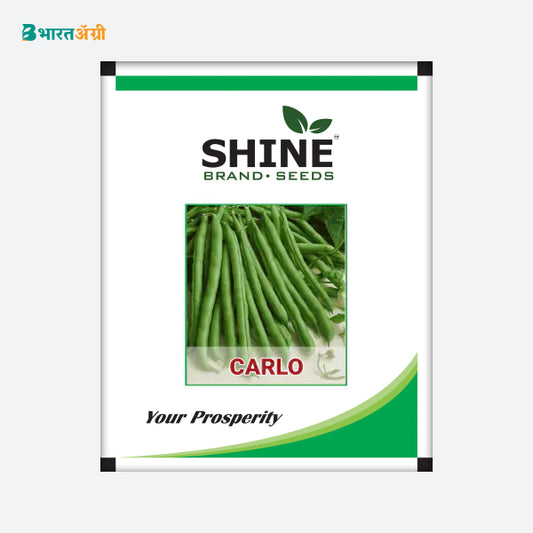 Pole Bean Carlo - Shine Brand Seeds. - BharatAgri Krushidukan_1