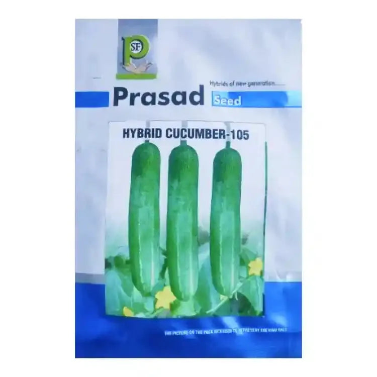 Prasad Hybrid PS-105 Cucumber Seeds