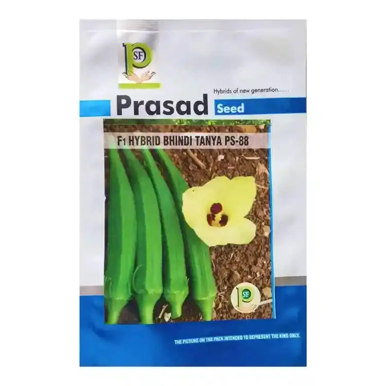 Prasad Tanya PS - 88 Hybrid Okra Seeds