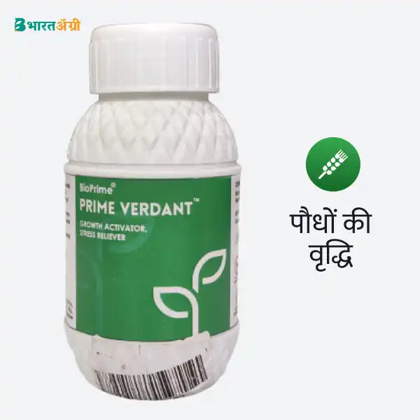 Mahadhan Combi Chilated Micronutrient (500 gm) + Prime Verdant (100 ml)