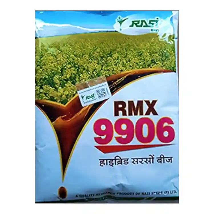 Rasi RMX 9906 Hybrid Mustard Seeds