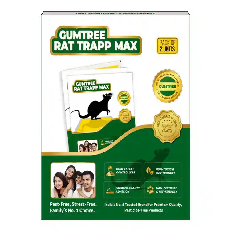 Gumtree RatRapp Max (Rat Glue Trap - Big) - Pack of 2