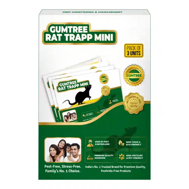 Gumtree RatRapp Mini (Rat Glue Trap - Small) Pack of 3