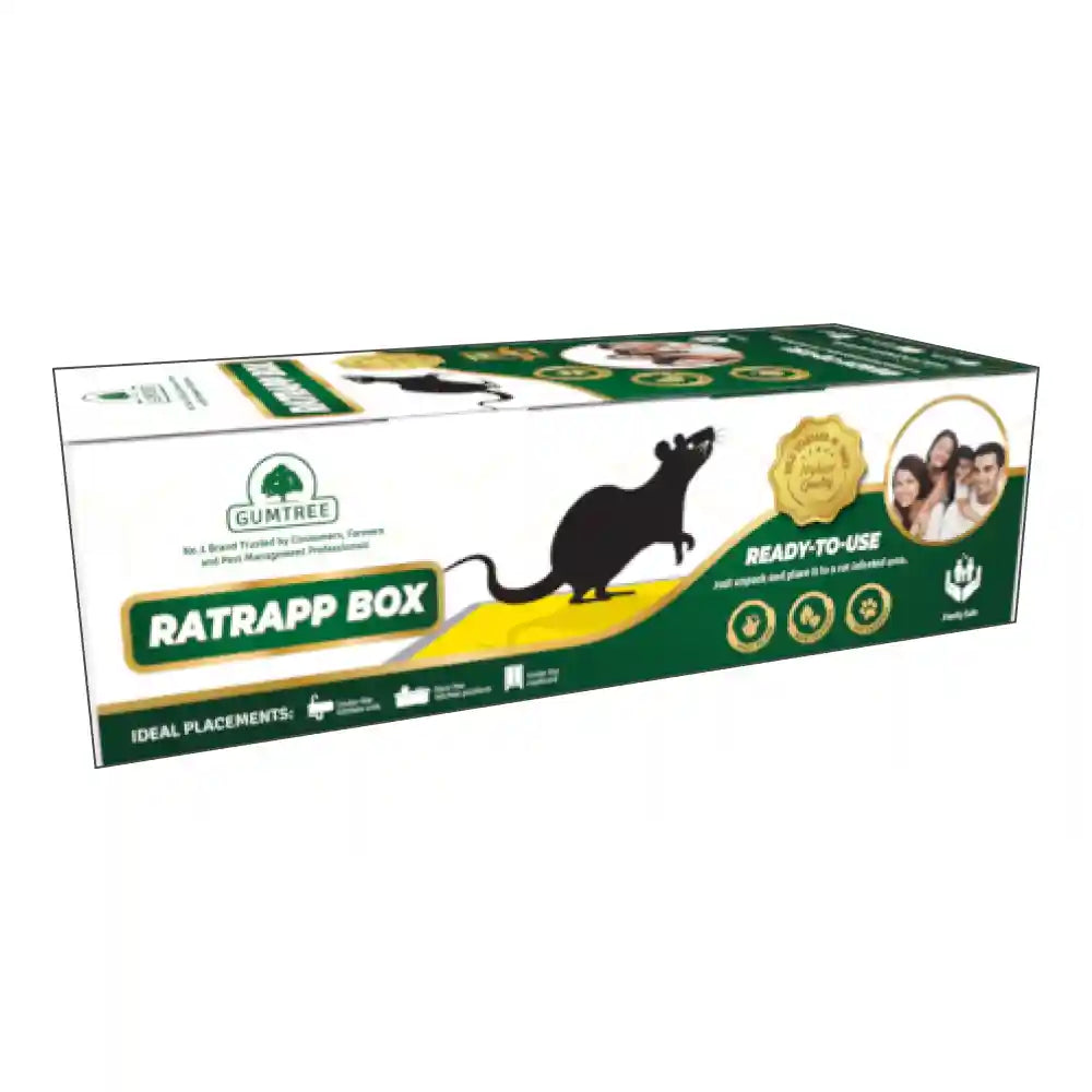 Gumtree RatRapp Box (Rat Glue Trap) - Pack of 1