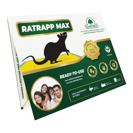 Gumtree RatRapp Max (Rat Glue Trap - Big) - Pack of 2