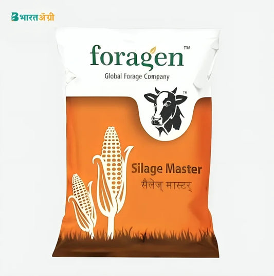 Foragen Silage Master Fodder Grass Seeds | BharatAgri Krushidukan