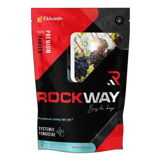 Ekhande Rockway (Thiophanate Methyl 70% WP) Fungicide