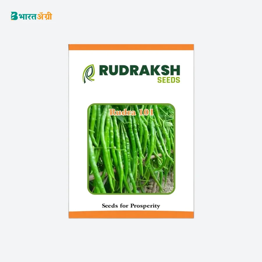 Rudraksh Rudra 101 F1 Hybrid Chilli Seeds