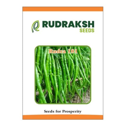 Rudraksh Rudra 101 F1 Hybrid Chilli Seeds