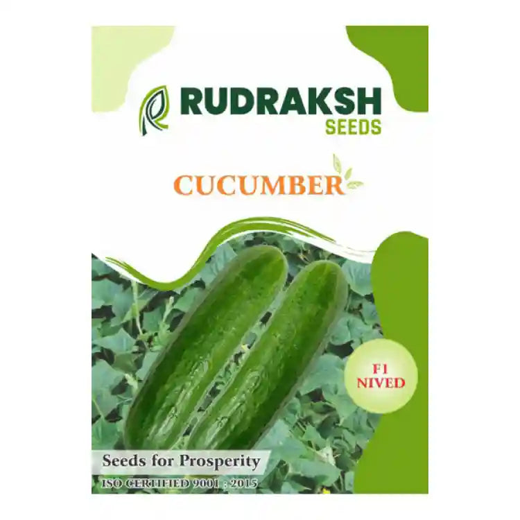 Rudraksh F1 Nived Cucumber Seeds