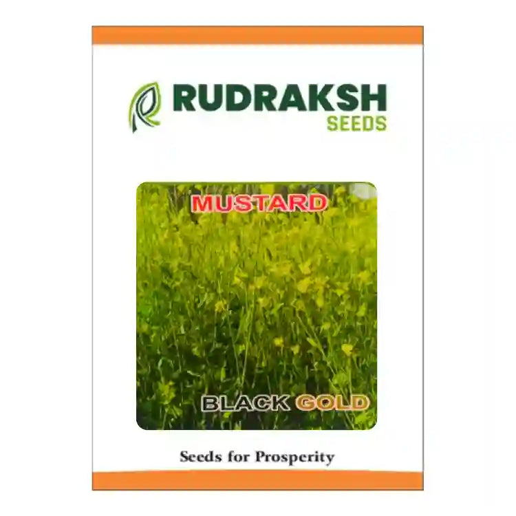 Rudraksh Black Gold Mustard Seeds