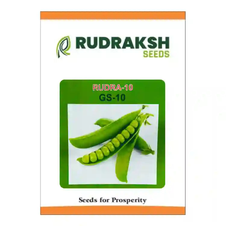 Rudraksh Rudra (GS-10) Peas Seeds