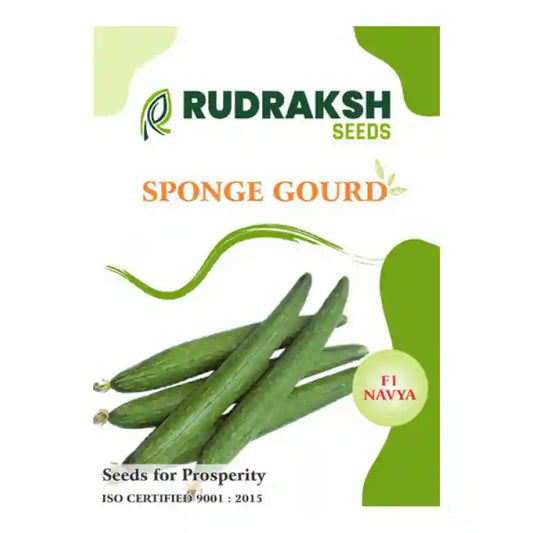 Rudraksh F1 Navya Sponge Gourd Seeds