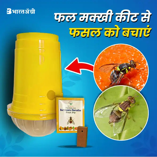 SK Agrotech Fruit Fly Pheromone Trap with Lure_1_BharatAgri