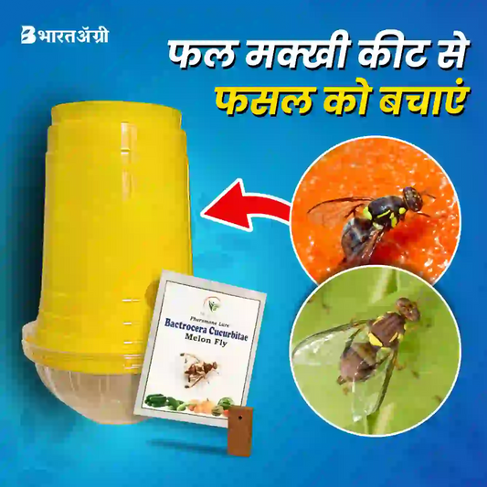 SK Agrotech Pheromone Eco Trap with Melon Fly Lure
