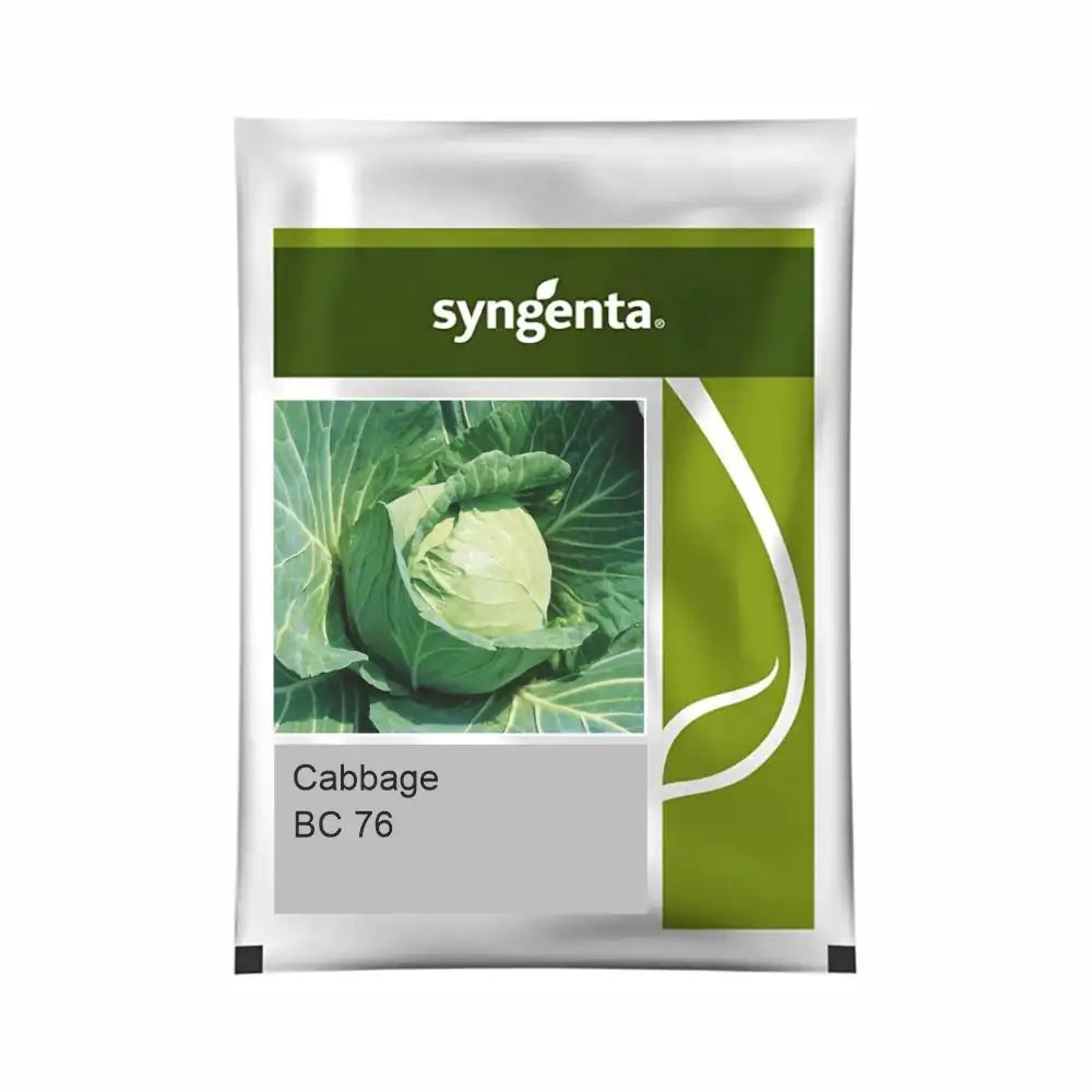 सिंजेंटा बीसी 76 गोभी के बीज | Syngenta BC 76 Cabbage Seeds