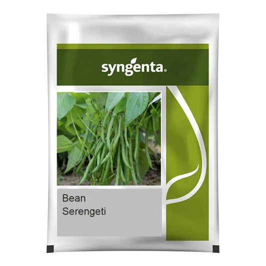 Syngenta Serengeti Bean Seeds