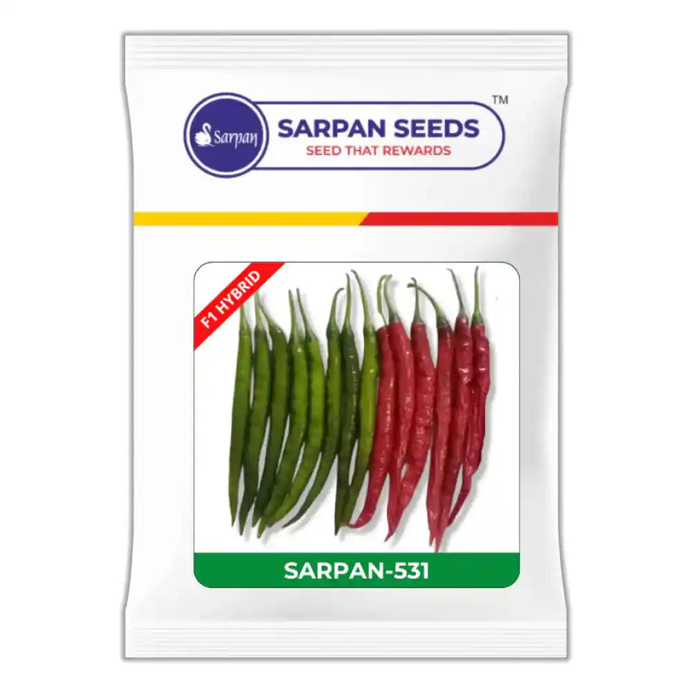 सरपन- 531 एफ1 हाइब्रिड मिर्च बीज | Sarpan- 531 F1 Hybrid Chilli Seeds