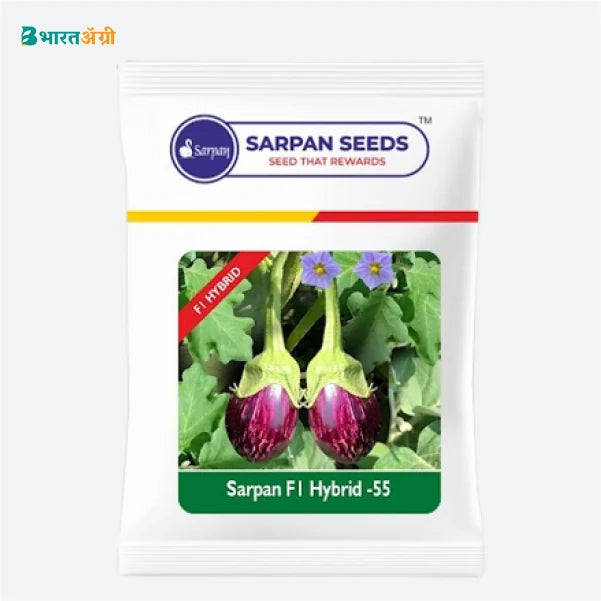 Sarpan Brinjal 55 F1 Hybrid Brinjal Seeds