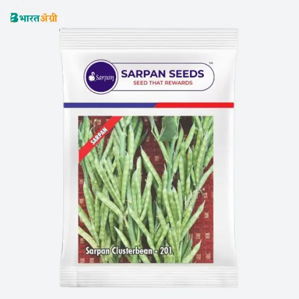 sarpan-cluster-beans-201-seeds_1_BharatAgri Krushidukan