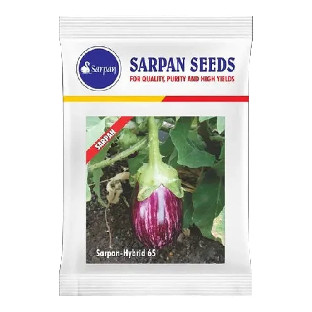 सरपन F1 हाइब्रिड बैंगन 65 बीज | Sarpan F1 Hybrid Brinjal 65 Seeds