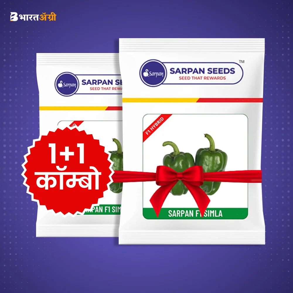 Sarpan F1 Capsicum Seeds (1+1 Combo)