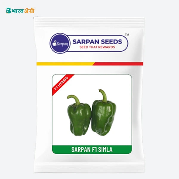 sarpan-f1-simla-capsicum-seeds_1_BharatAgri Krushidukan