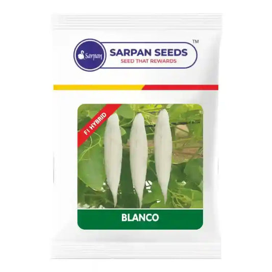 Sarpan_Blanko_Snakegourd_Seed