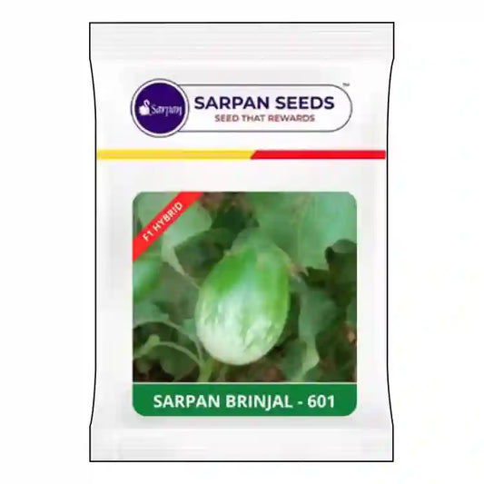 Sarpan F1 Hybrid Brinjal-601 Seeds