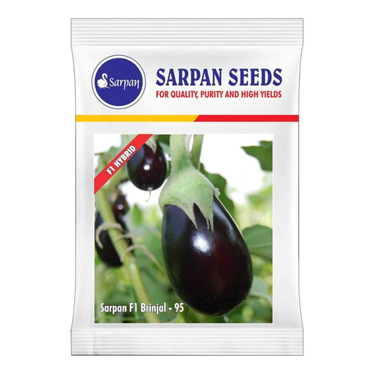 Sarpan Brinjal-95, F1 Hybrid Brinjal Seeds