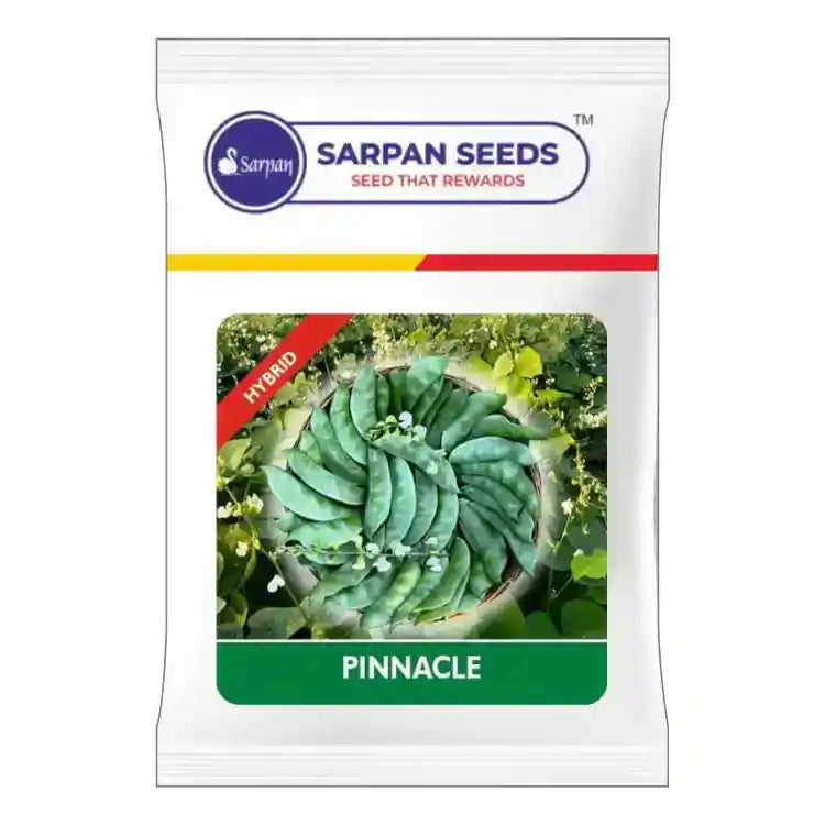 Sarpan Pinnacle Dolichos Seeds